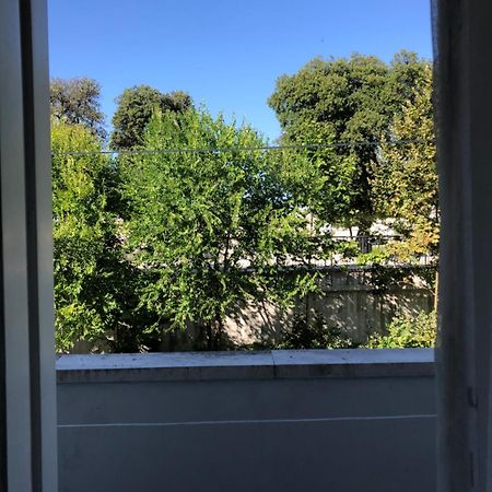 Cozy Apartment Overlooking The City Walls Zadar Exteriör bild